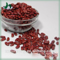 High quality healthy nutritious delicious red kidney beans price